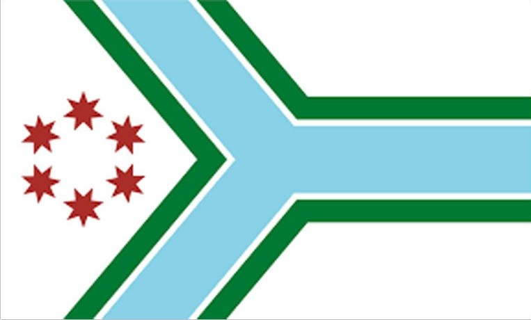 Cook County Flag